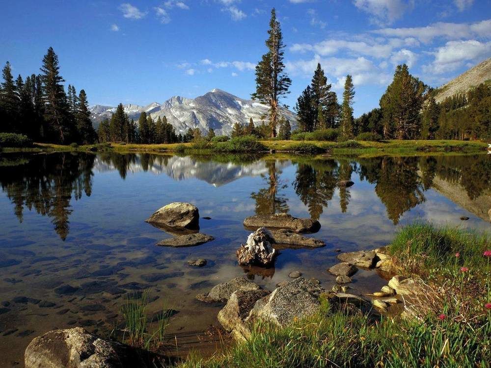 Lower Cascades Yosemite West Bagian luar foto